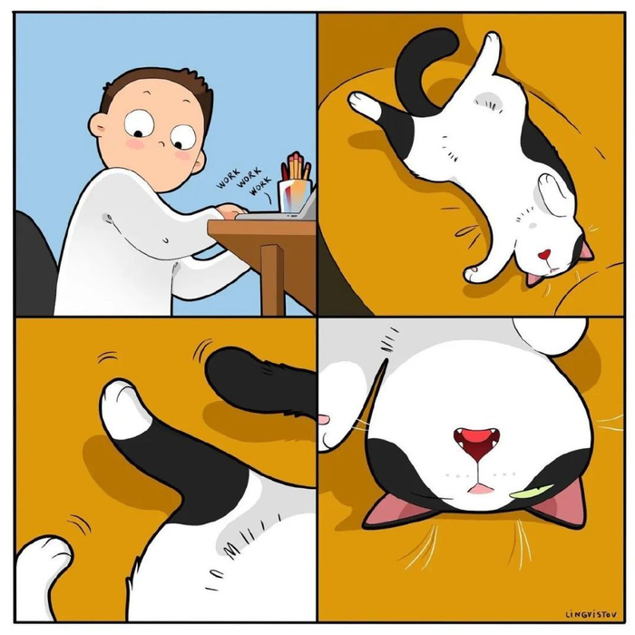 猫奴必看20幅猫看了都点赞的插图让你更了解猫主子