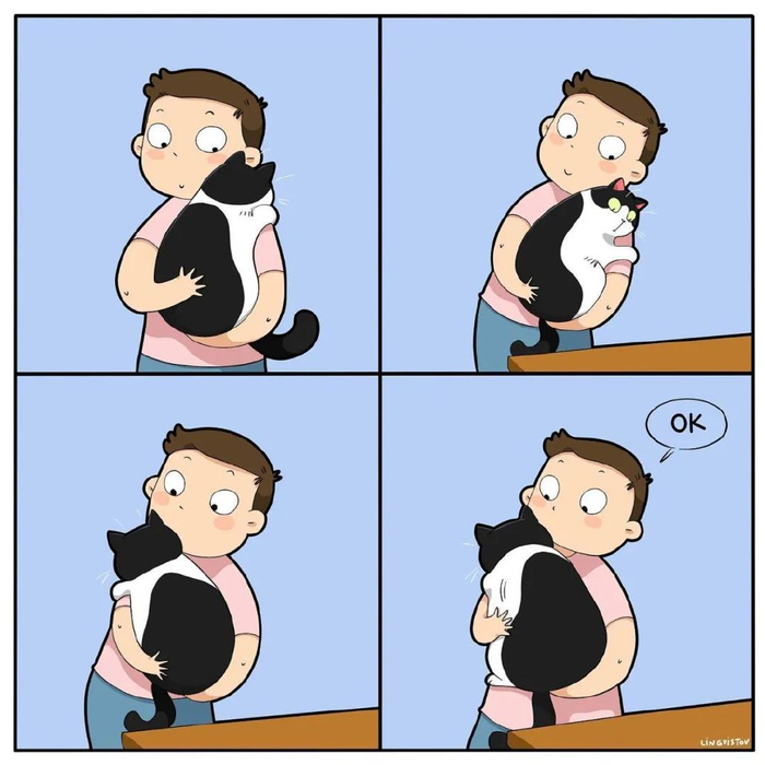 过于真实了,30幅关于养猫的漫画,让人狠狠共鸣了|猫|漫画|宠物_新浪