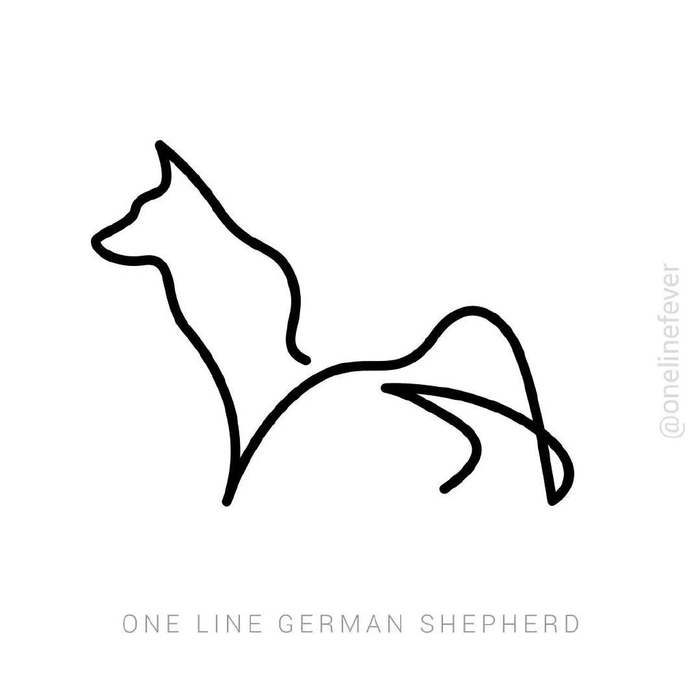 狗猎豹灰熊鹰狮子海豚老虎鲨鱼狼犀牛鹿长颈鹿斑马恐龙双髻鲨奶牛企鹅