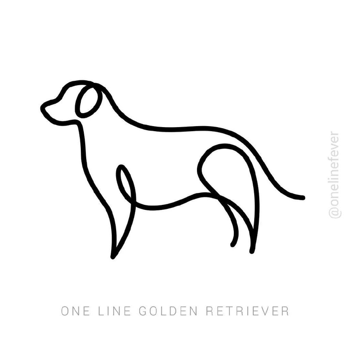 猎豹灰熊鹰狮子海豚老虎鲨鱼狼犀牛鹿长颈鹿斑马恐龙双髻鲨奶牛企鹅