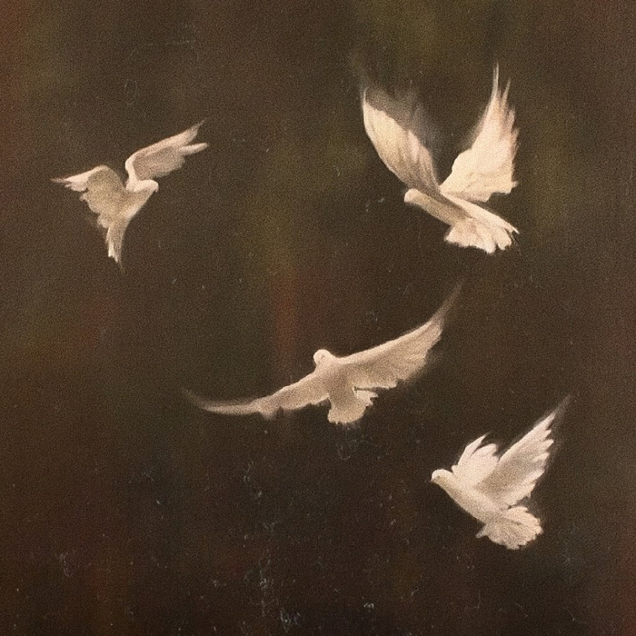 意境感wechat男生头像