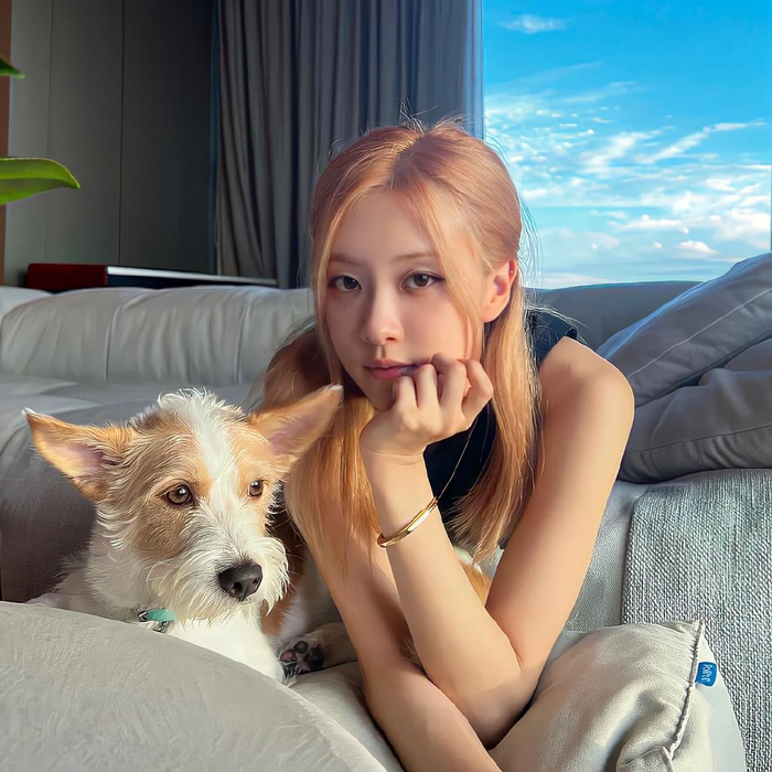 一组323032333635女生头像