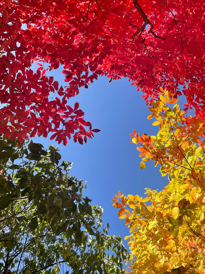 SEO中的PA DA MR domain link分别是什么意思 seo指的是什么