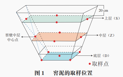 四川轻化工大学袁思棋教授等:不同窖龄及位置浓香型白酒窖泥微生物群