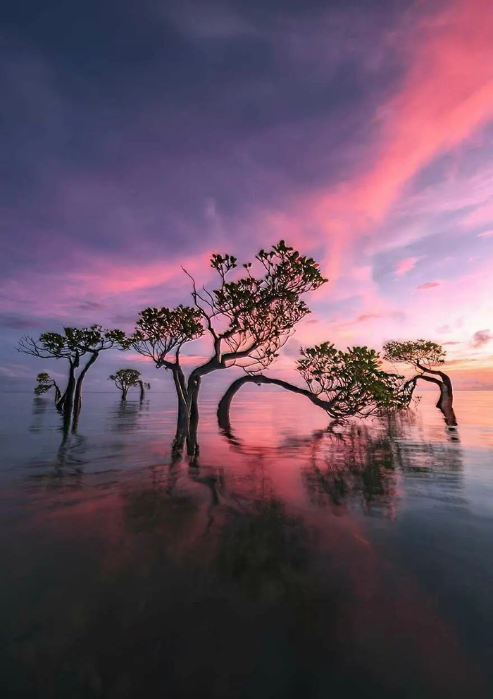 治愈之旅吧,相信"色彩控"们一定会爱上这组惊艳视觉的色彩风景照片