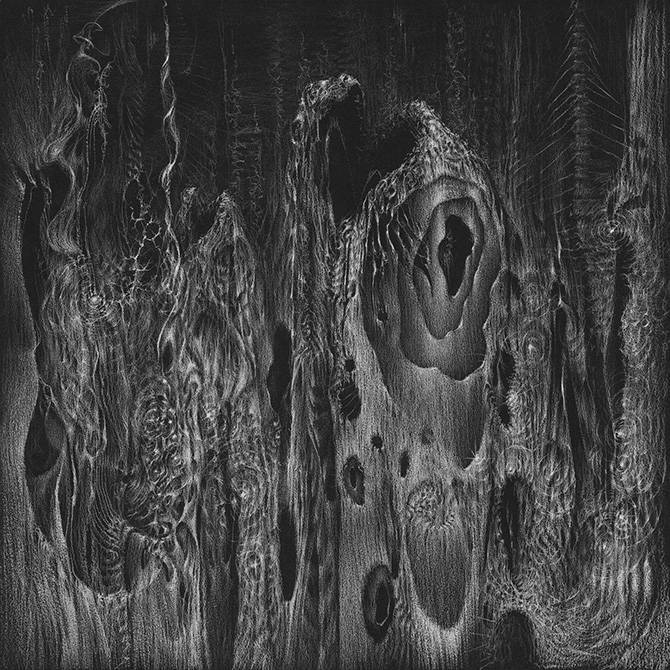 精心绘制的黑白素描 bette burgoyne