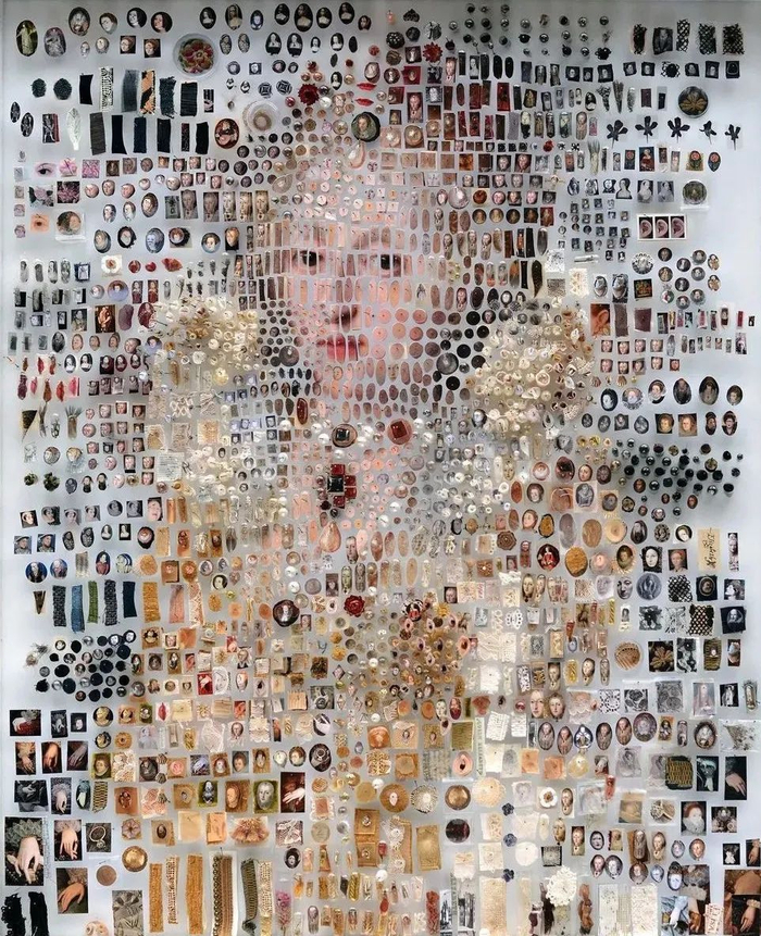 通过复杂的材料,和标本针的协助,最终组成一幅人类的肖像画作,这就是