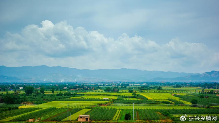 王文的诗——我们把成熟变老|王文|肇州县|吆五喝六_新浪新闻