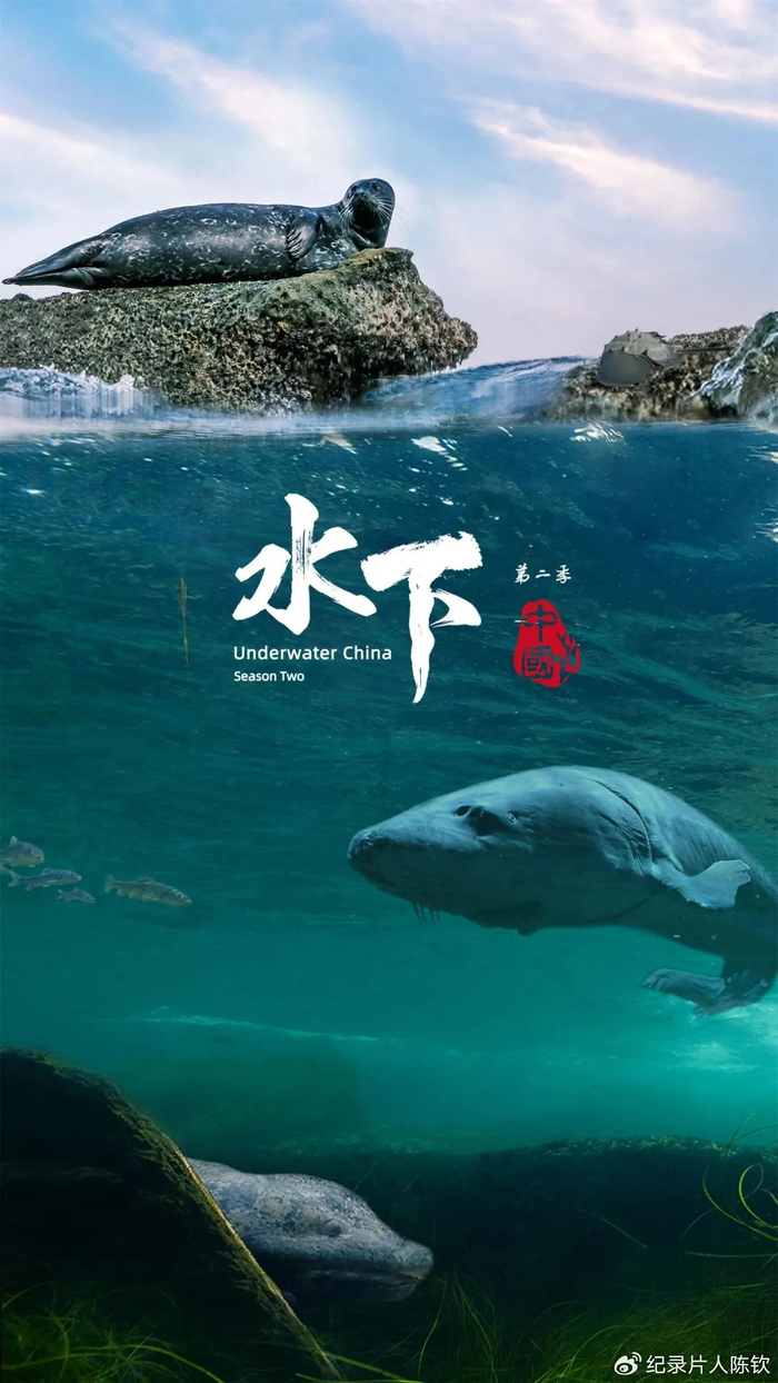 逐帧绝美!超高清4k人文自然纪录片,领略不一样的风物中华