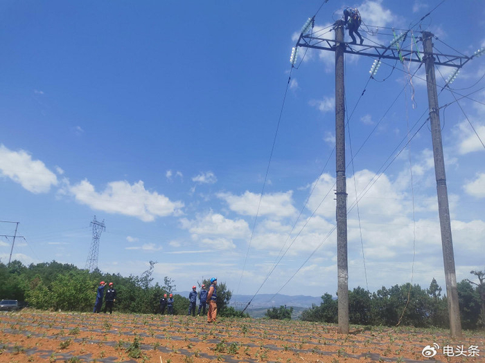 局为电网工程建设安全施工保驾护航|项目管理|铁塔|云南曲靖_新浪新闻