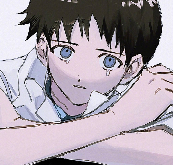坚强又敏感的小男孩碇真嗣!x:a12740807