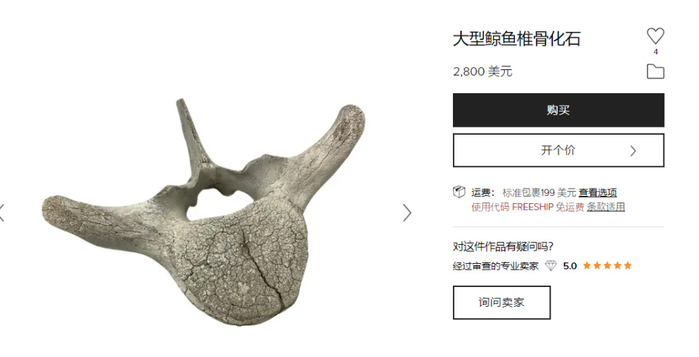 捡了10根动物骨头,澳洲2男子险坐牢,海滩的骨头为何捡不得?