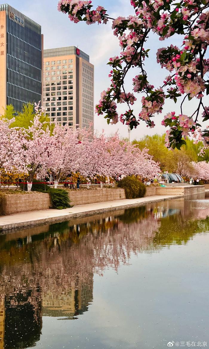 北京海棠花溪简介图片