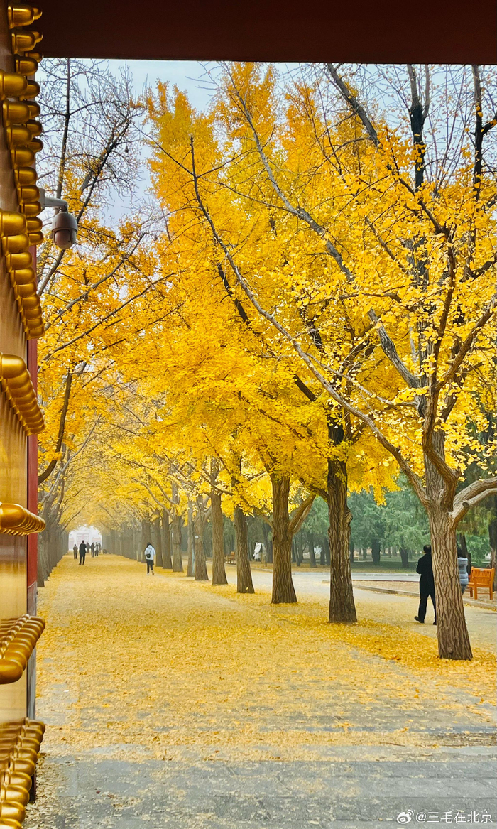 ��̳��԰���Ӵ������̳��԰���Ӵ��ͼƬ