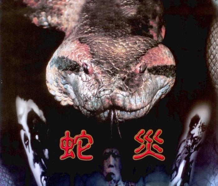 1982年的香港电影《人蛇大战》,在当年也是算非常有名的恐怖惊悚片了
