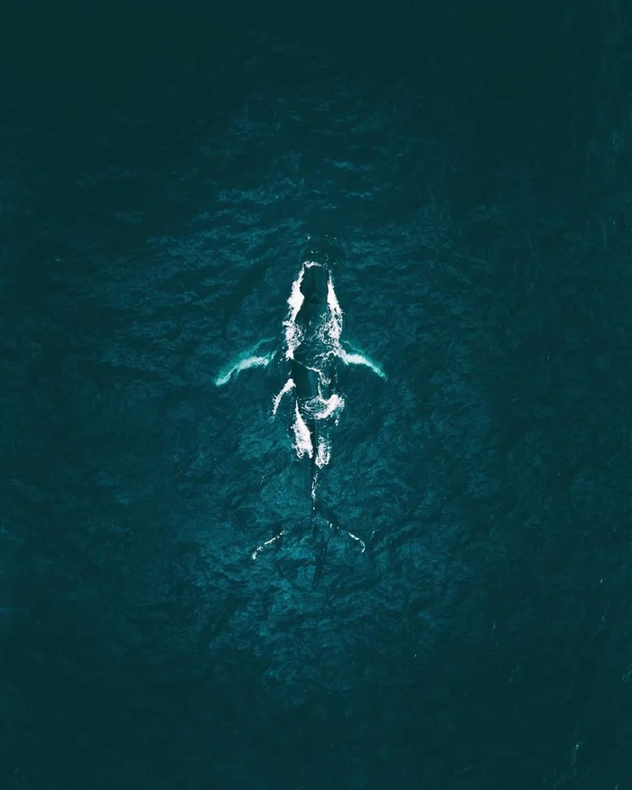 50幅顶级的自然摄影,给你最原始的震撼,让人心潮澎湃