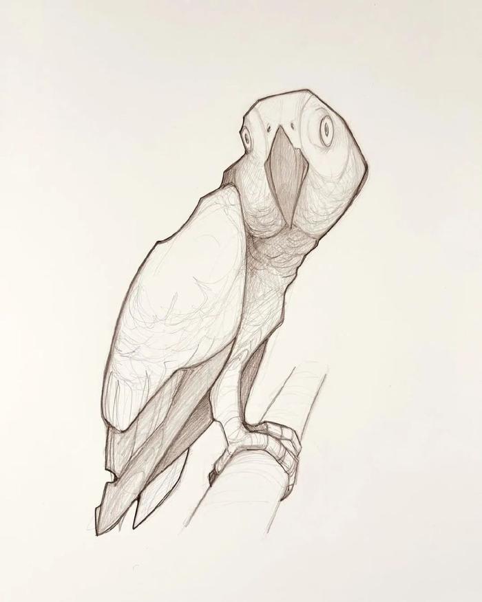 美人鱼犀牛青蛙每天认认真真绘制一幅素描画作是卡里特·莫斯的坚持