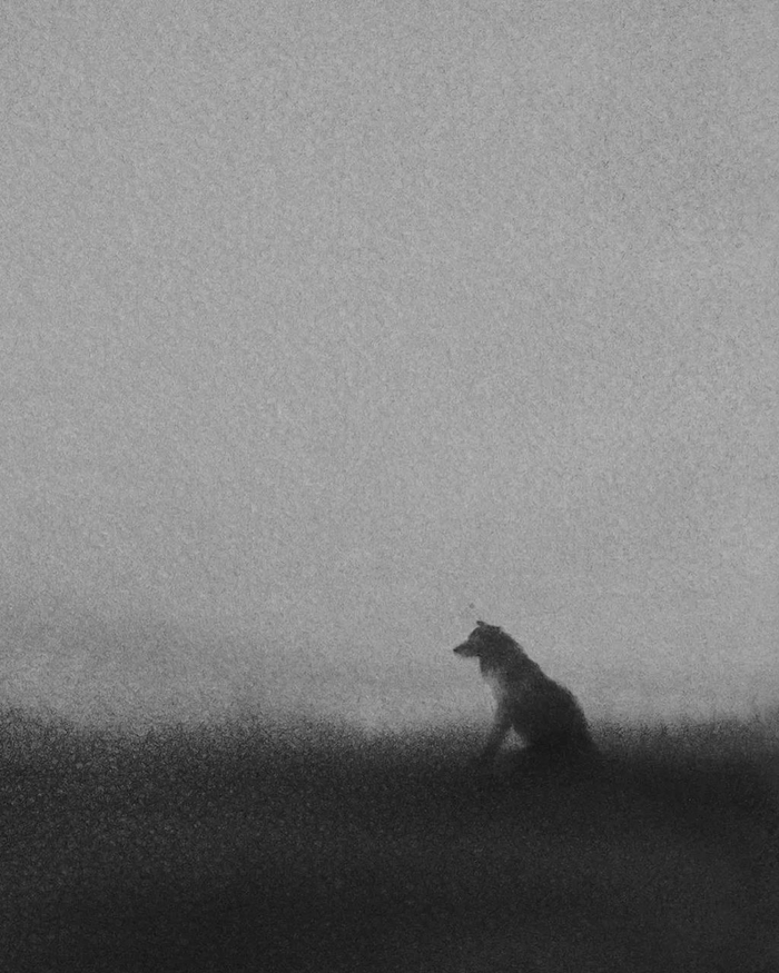 意境悠长,这组黑白水彩画,诠释了人与动物的和谐之美