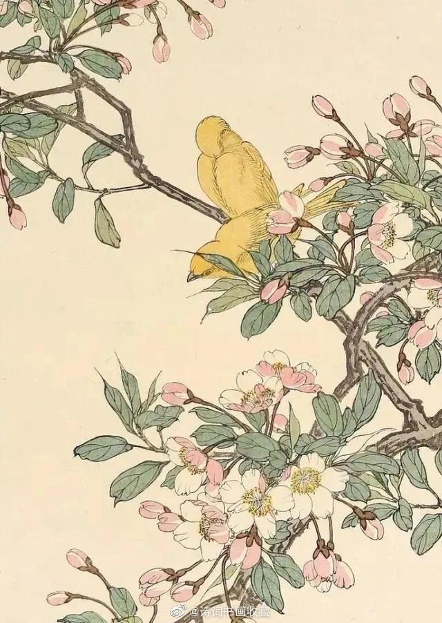日本·今尾景年《景年花鸟画谱》今尾景年（1845 – 1924）明治时期至