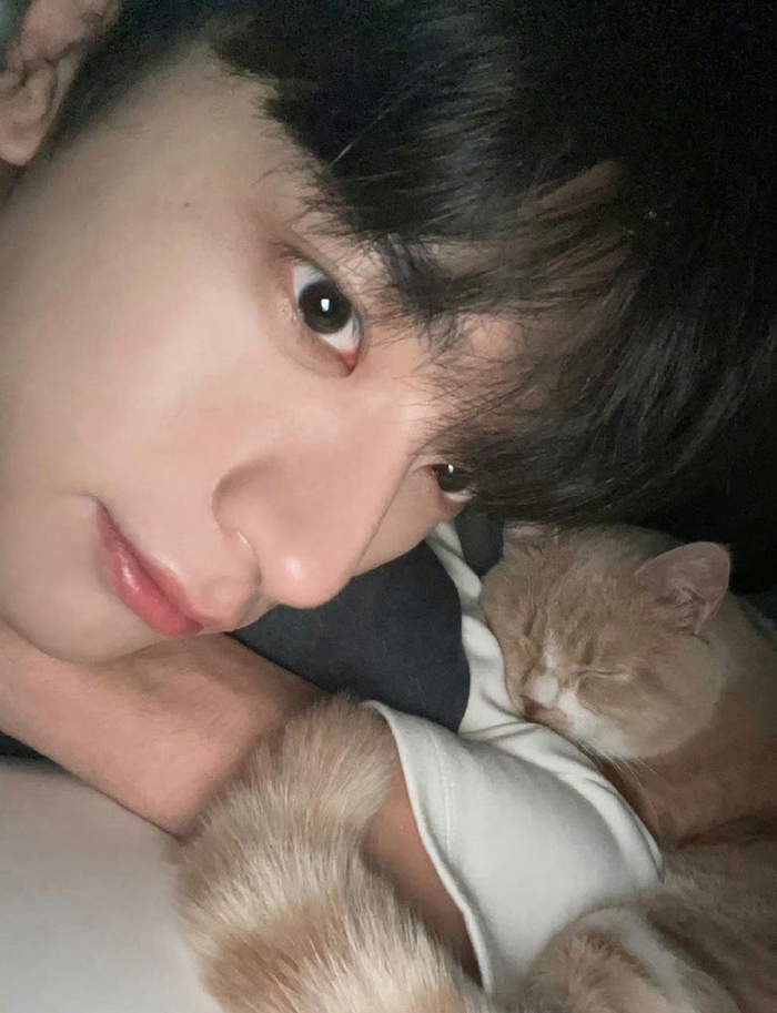 林一思念无声风有声寒风无情你有情