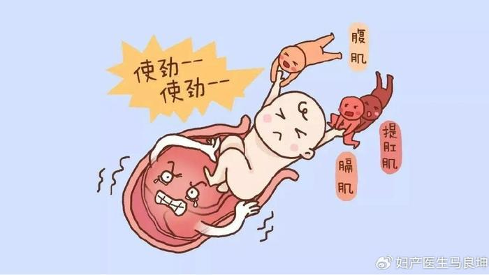 顺产时痛得“撕心裂肺”，胎儿是啥“感受”呢？看完觉得暖心又好笑
