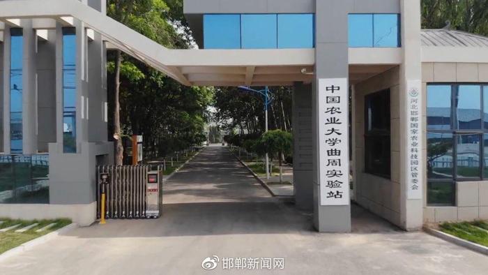 邯郸农业大学图片