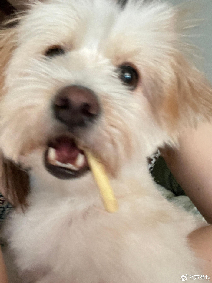 笑鼠 好大一颗球