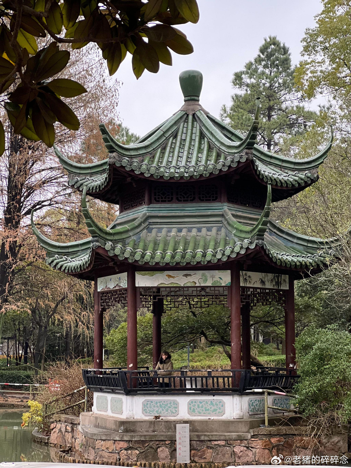 偶入川沙公园虽建筑不古但氛围感十足