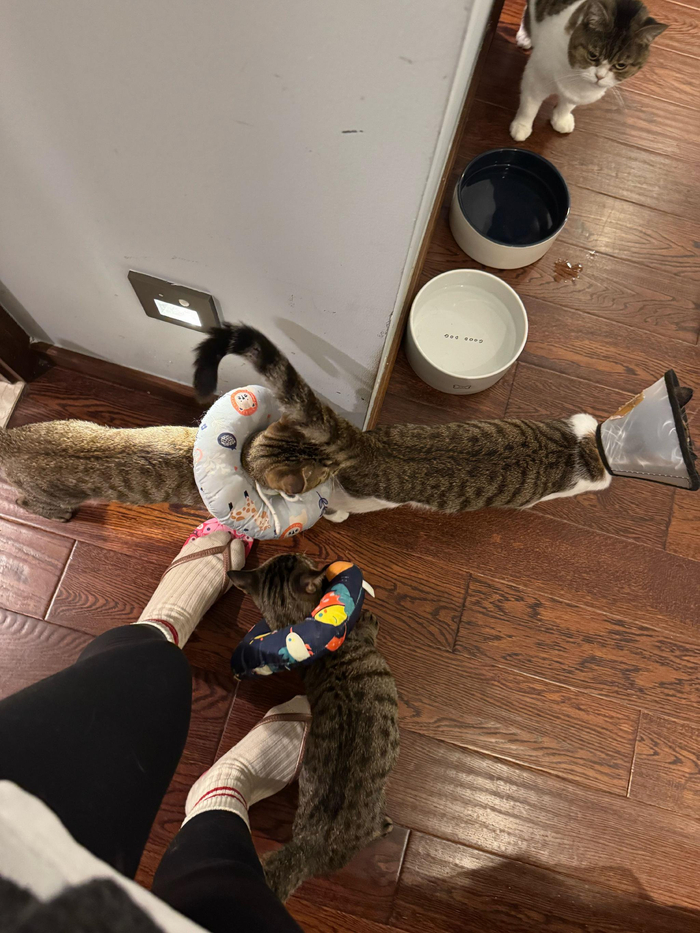 阿里 域名解析教程