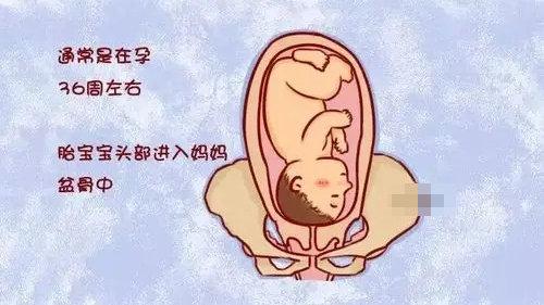 婴儿头部比身体其他各器官都大，为啥臀位难产的概率会比头位大？