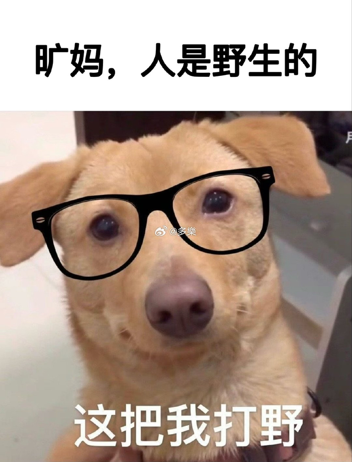 暖阳开庭的时候记得带上你的破表情包