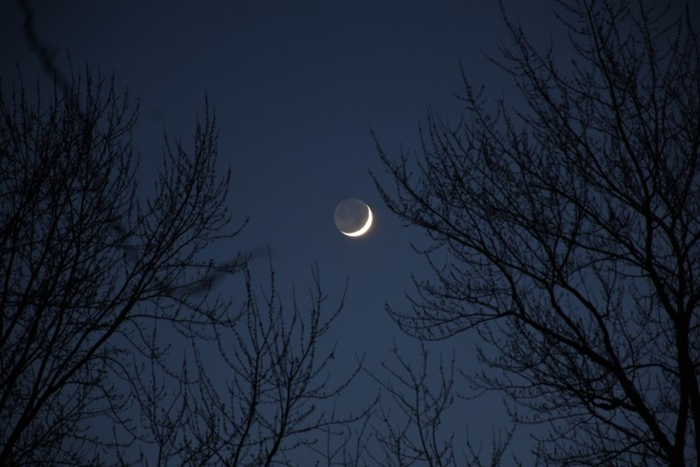 看金星的时机来啦快快准备起来