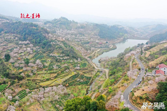 来浙江四明山就行,赏樱胜地天下无双|天下无双|浙江|樱花_新浪新闻