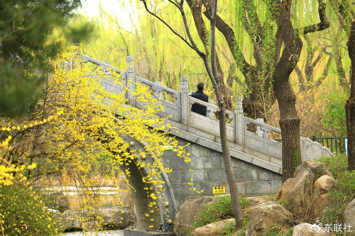 泰安:南湖公园春色美 市民赏花游园忙|南湖公园|张子秋|碧桃_新浪新闻