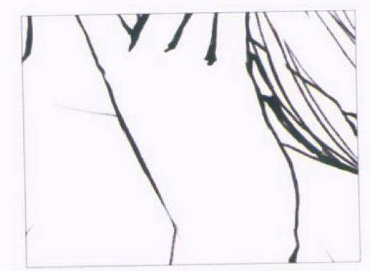 教你如何画一幅漂亮的线条画技巧!