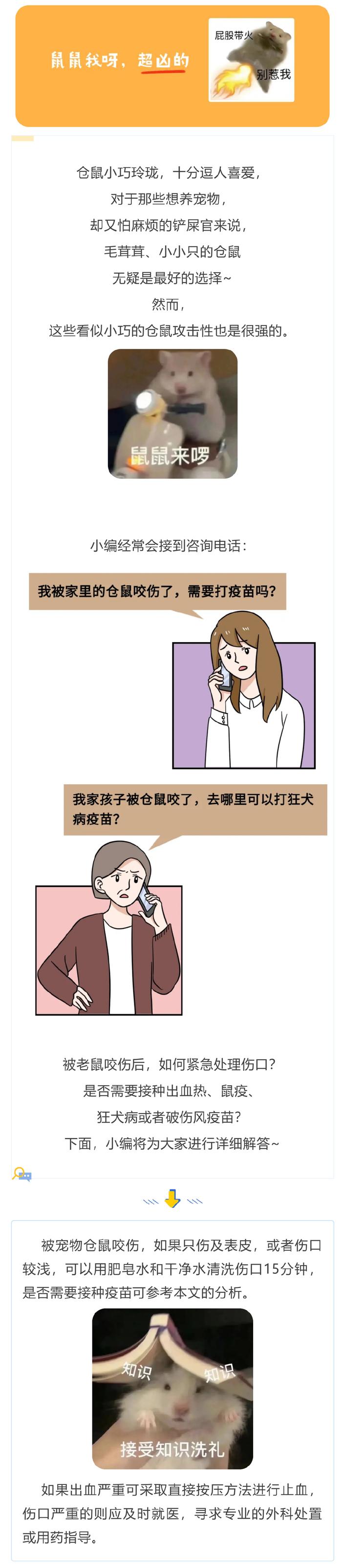 被仓鼠咬了要打针吗图片