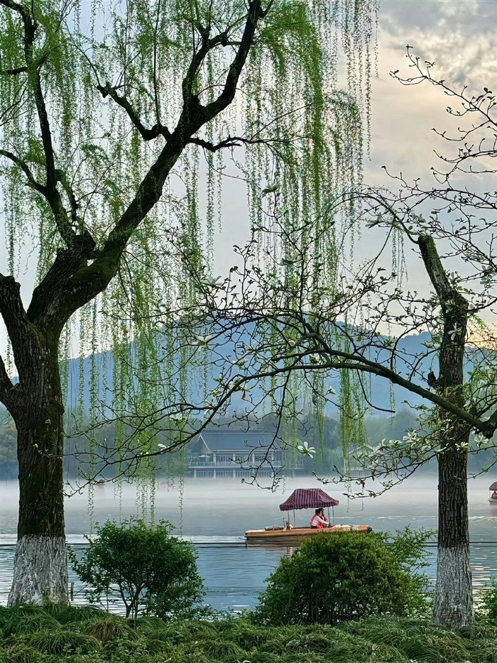 西湖边的春和景明