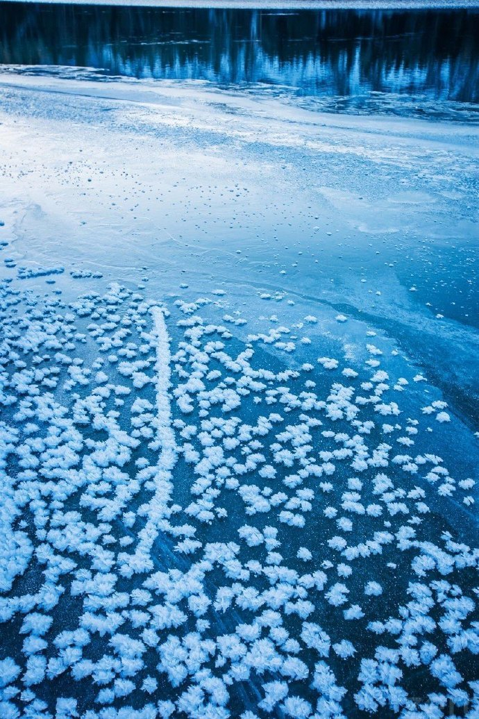 雪后的喀纳斯,银装素裹,美的恰到好处