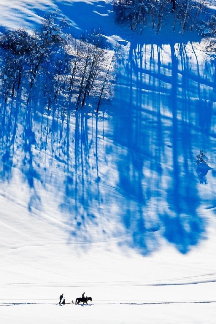雪后的喀纳斯,银装素裹,美的恰到好处