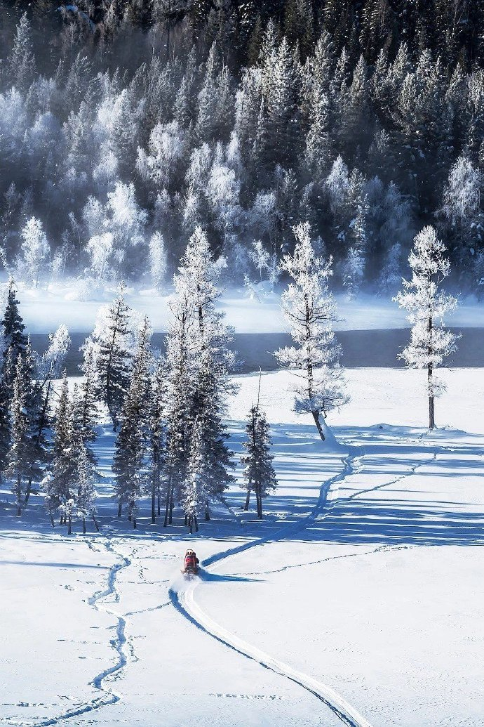 雪后的喀纳斯,银装素裹,美的恰到好处