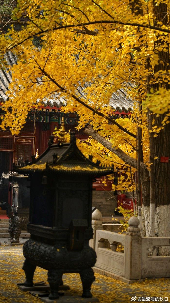 大悲寺北京图片