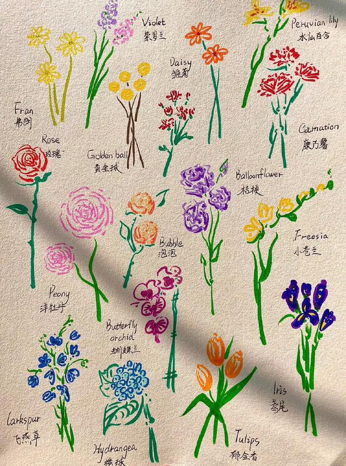 植物花卉简笔画小合集