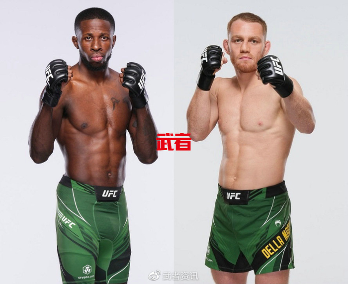UFC 284:中国新秀张名扬因伤退赛|伊斯拉姆·马哈切夫|亚尔·罗德里格斯|杰克·德拉·马达莱纳|泰森-佩德罗|ufc_新浪新闻