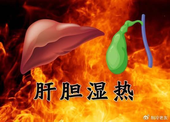 人与肝同寿,耳鸣,眼花,大腿出汗,多是肝在向你求救,需警惕!