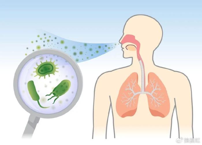 呼吸道疾病有哪些图片