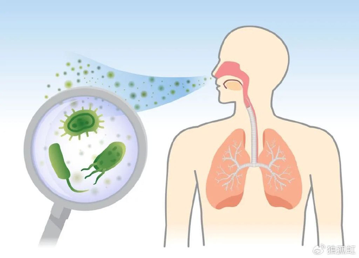 关注呼吸道疾病预防两大"重点"|流感|呼吸道疾病|人群_新浪新闻