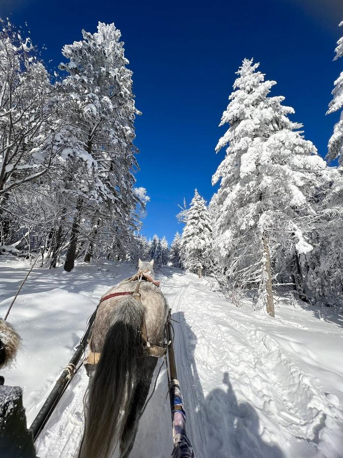 长白山雪景手机壁纸图片