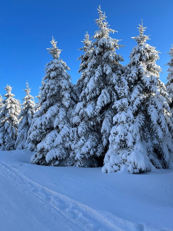 长白山雪景手机壁纸图片