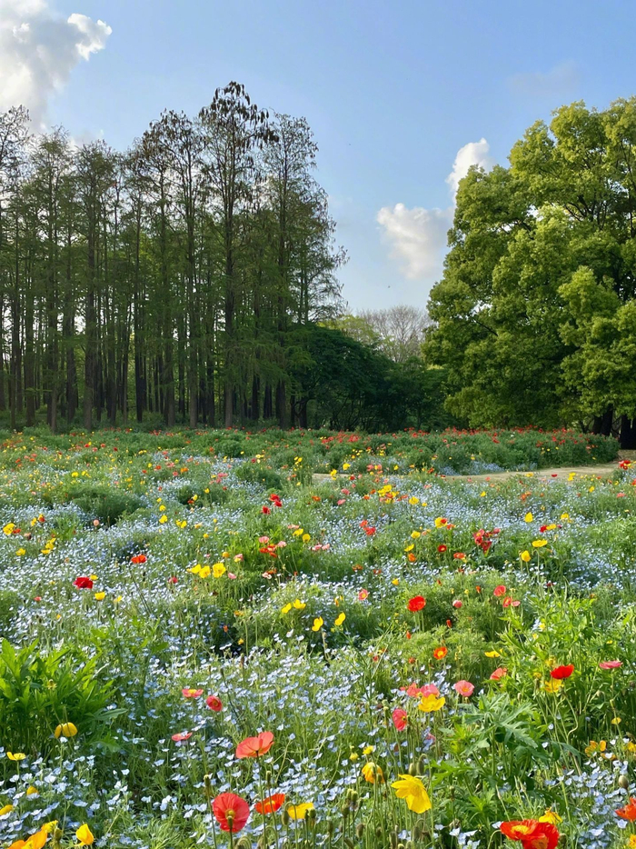 明朗世界春满人间