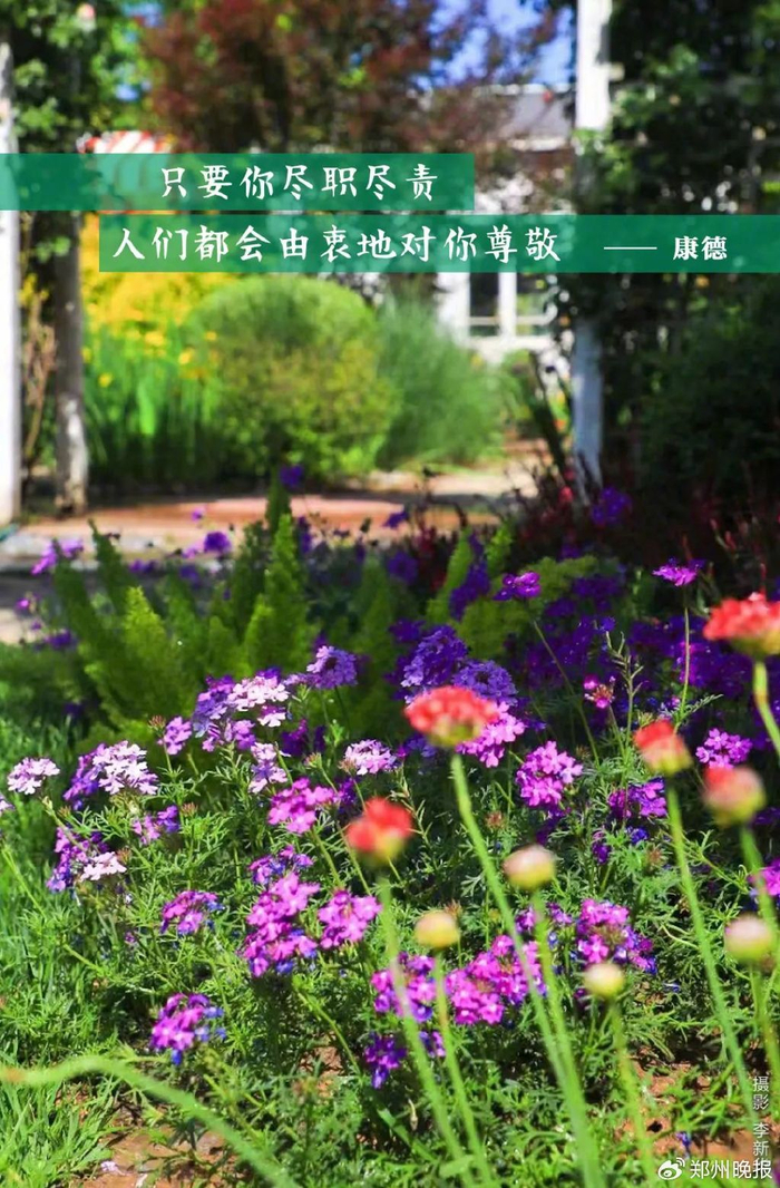 晚安郑州 | 这所高校生三胎奖10万